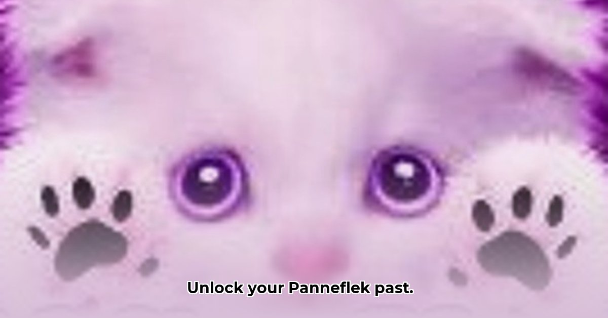 panneflek